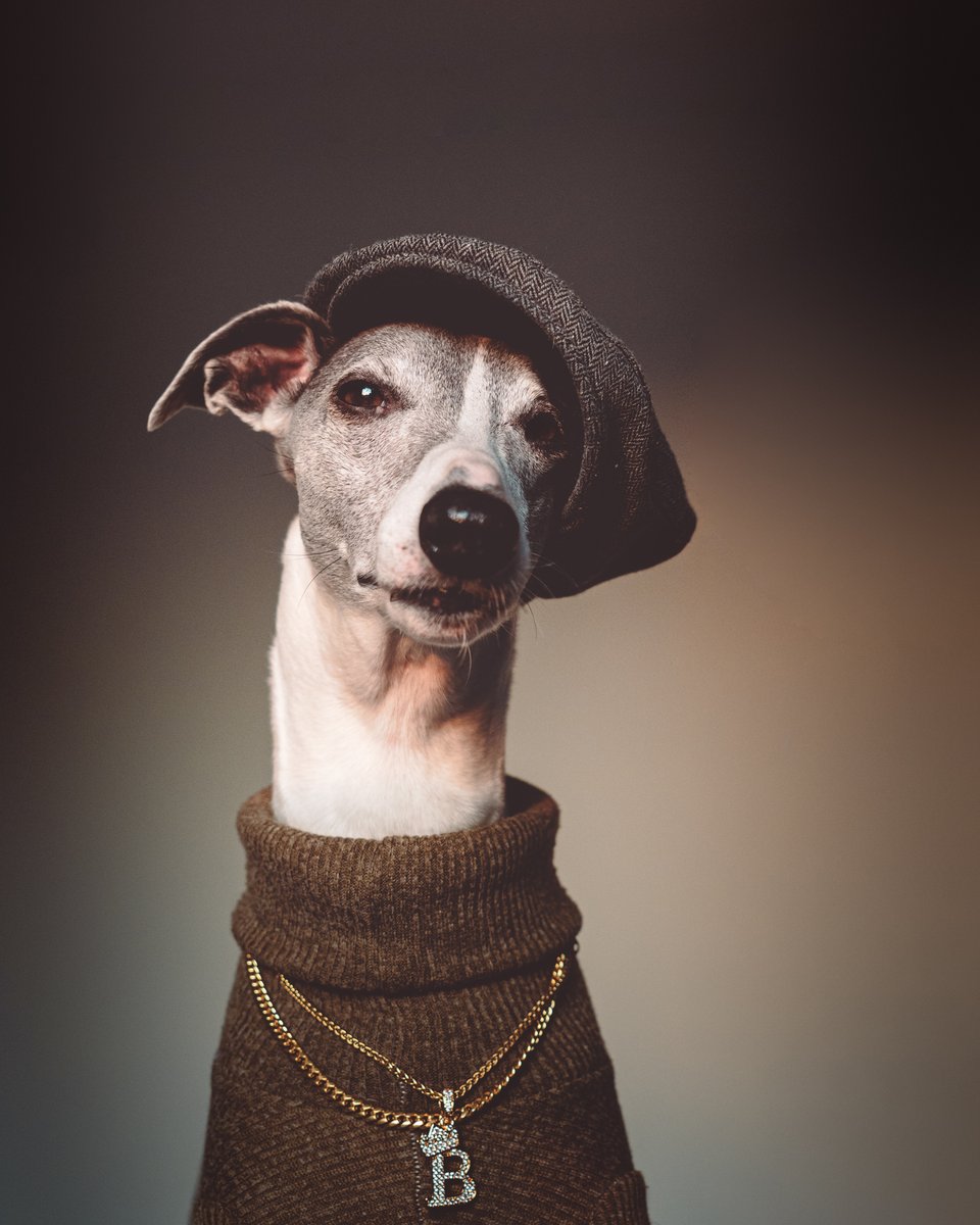 Adobe Lightroom tweet media