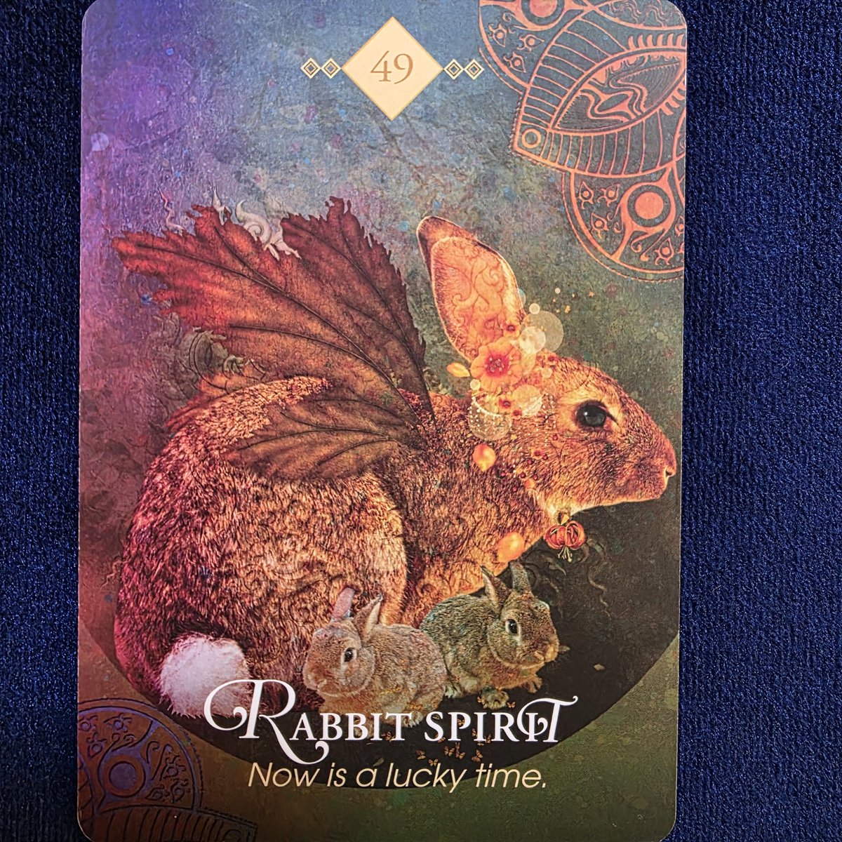 🌈ワンオラクル🌈

チャンス

地下の巣穴に居れば
安全かも知れません
でも外に出て刺激を受けて
生産的な活動が
チャンスに繋がります
知らないことを知る強み
不安や恐れを避けるより
立ち向かって
力をつけることが
実は安全なのです

とメッセージが届きました💖

素敵な1日を🍀
#YouTubeタロット