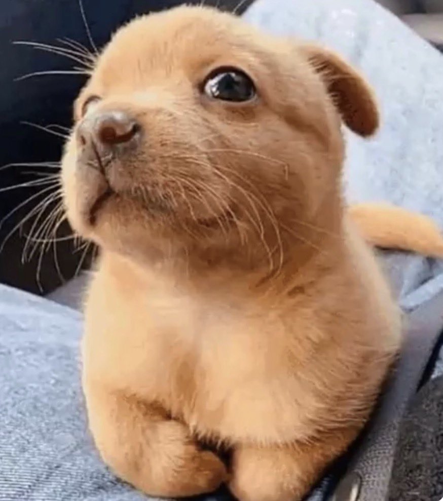 CAiO 🏳️‍🌈 tweet media