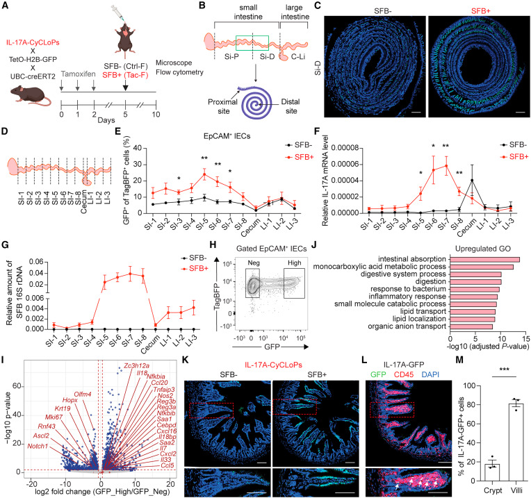 Waggoner Lab tweet media