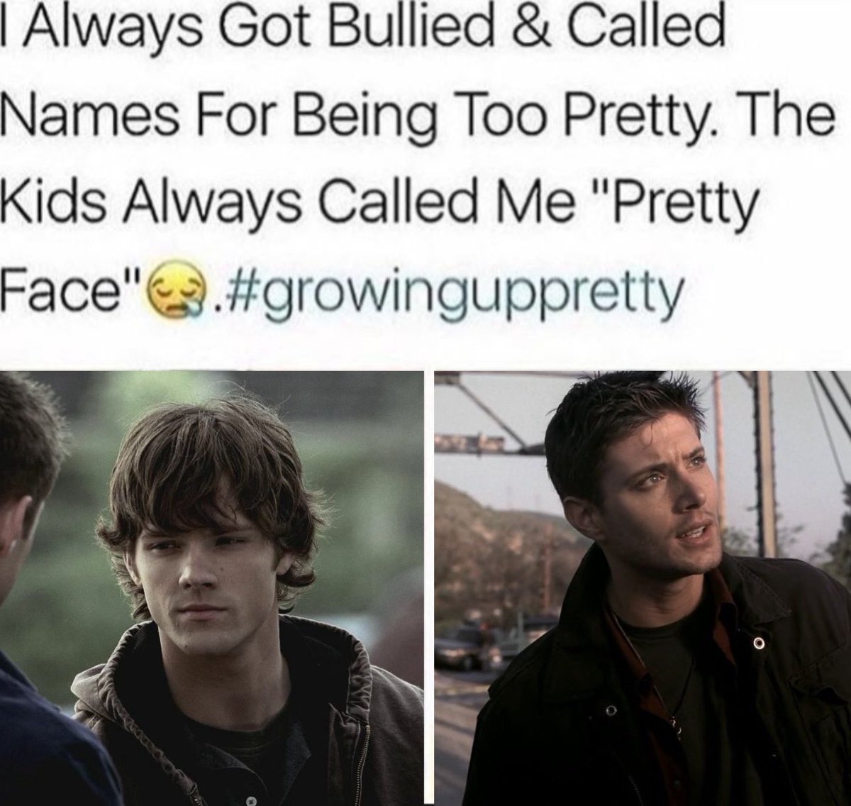 sunbleachedfli3's tweet image. 