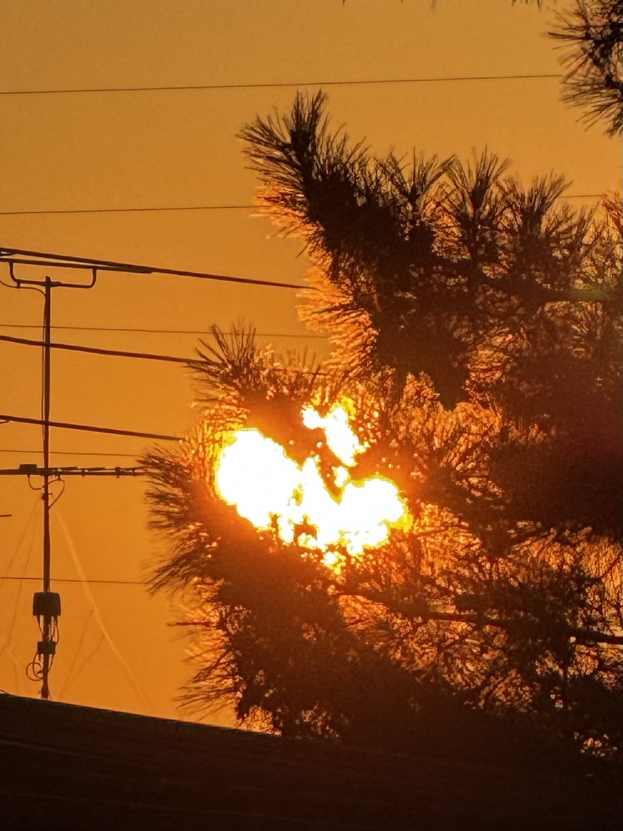 キャサリン (@Xi7ySXjpj2EYGAU) / Posts / X