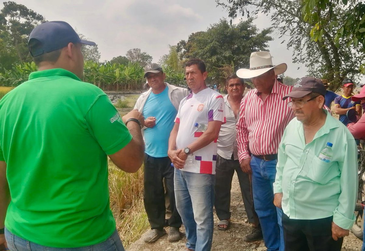 Agricultura_CZ5's tweet photo. #Guayas | Impulsamos mejores prácticas productivas mediante la estimación de cosecha y el uso de semilla certificada junto a la Organización de Pequeños Productores Agrícolas y Agropecuarios Última Generación Papayo Compoña y la empresa cooperante Ecuaquímica.

#ElNuevoEcuador https://t.co/LJAi7T5r1r