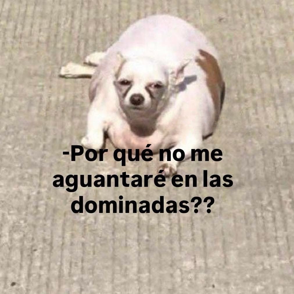 Porque será ? XD #ejercicio #fypシ