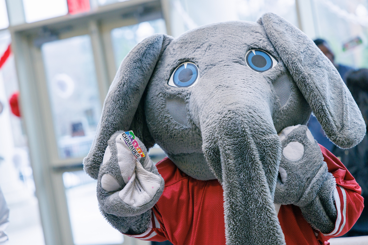 UofAlabama's tweet photo. It's finally time for #FirstDayUA β spring edition πΈβ¨π Did you miss us? Because we missed you π RT if you're ready to make more legendary memories!
#RollTide https://t.co/miv04ebb7A