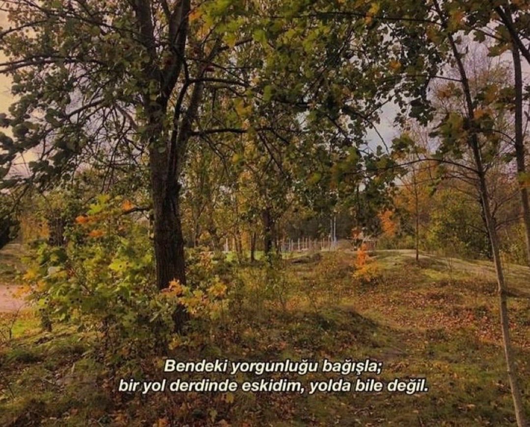 Doğan Kıyga (@kiygaa) on Twitter photo 