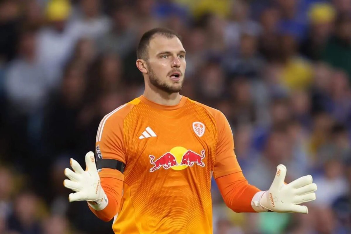 Toon Polls tweet media