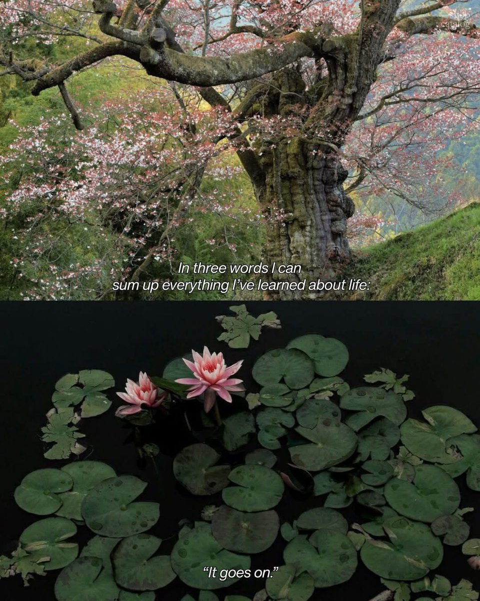 tia_visagie's tweet image. Pisces | Virgo 🪷