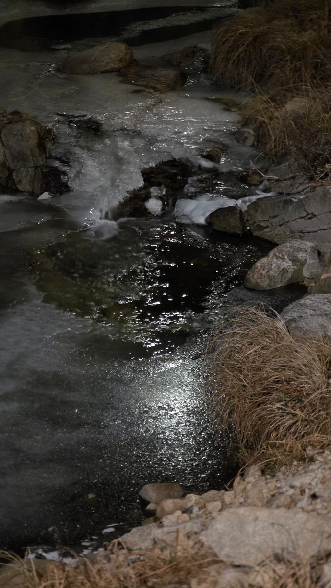 손으로 그린 그림을 주문하세요 Daniel Jacobson - 에드바르 뭉크, image size:676x1200