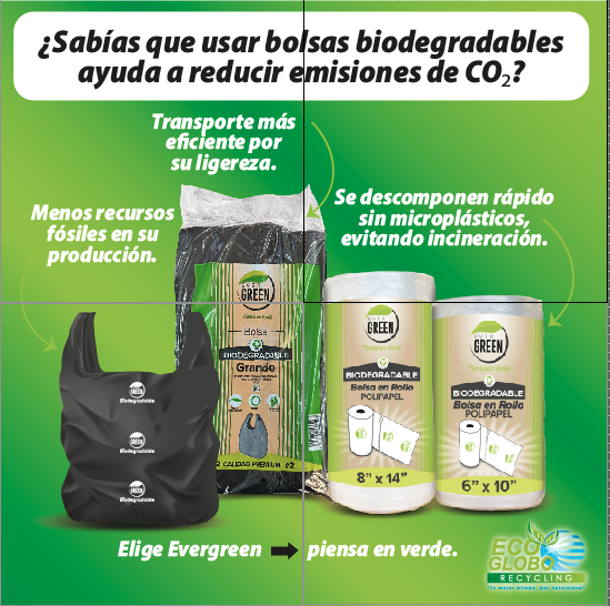 EcoGlobogt's tweet photo. ✅ “Hoy, en el Día Mundial de la Reducción de Emisiones de CO₂, recordamos que cada elección cuenta. Las bolsas biodegradables Evergreen se descomponen más rápido y sin liberar microplásticos, evitando acumulación en vertederos y procesos como la incineración, que generan CO₂. https://t.co/oNABJKlj1z