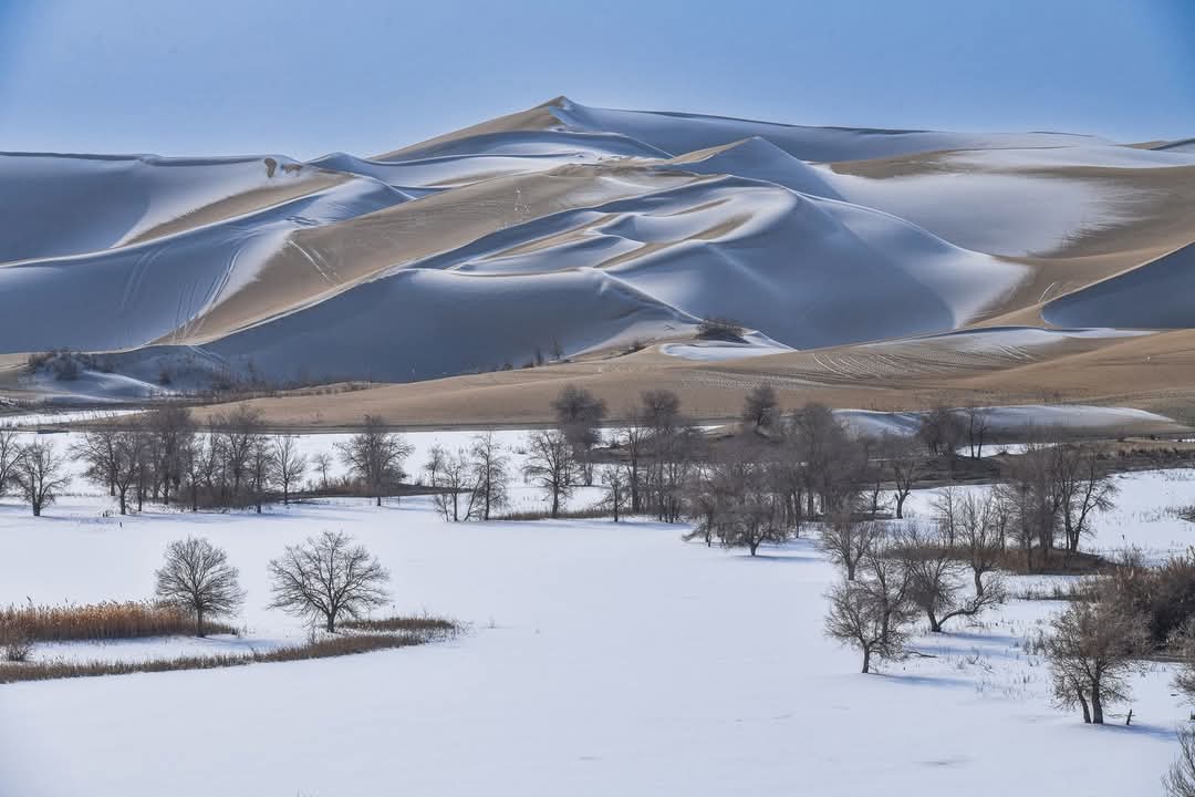 晓风残月 tweet media