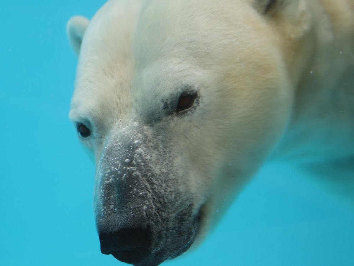 chie (@chie93730682) / Posts / X