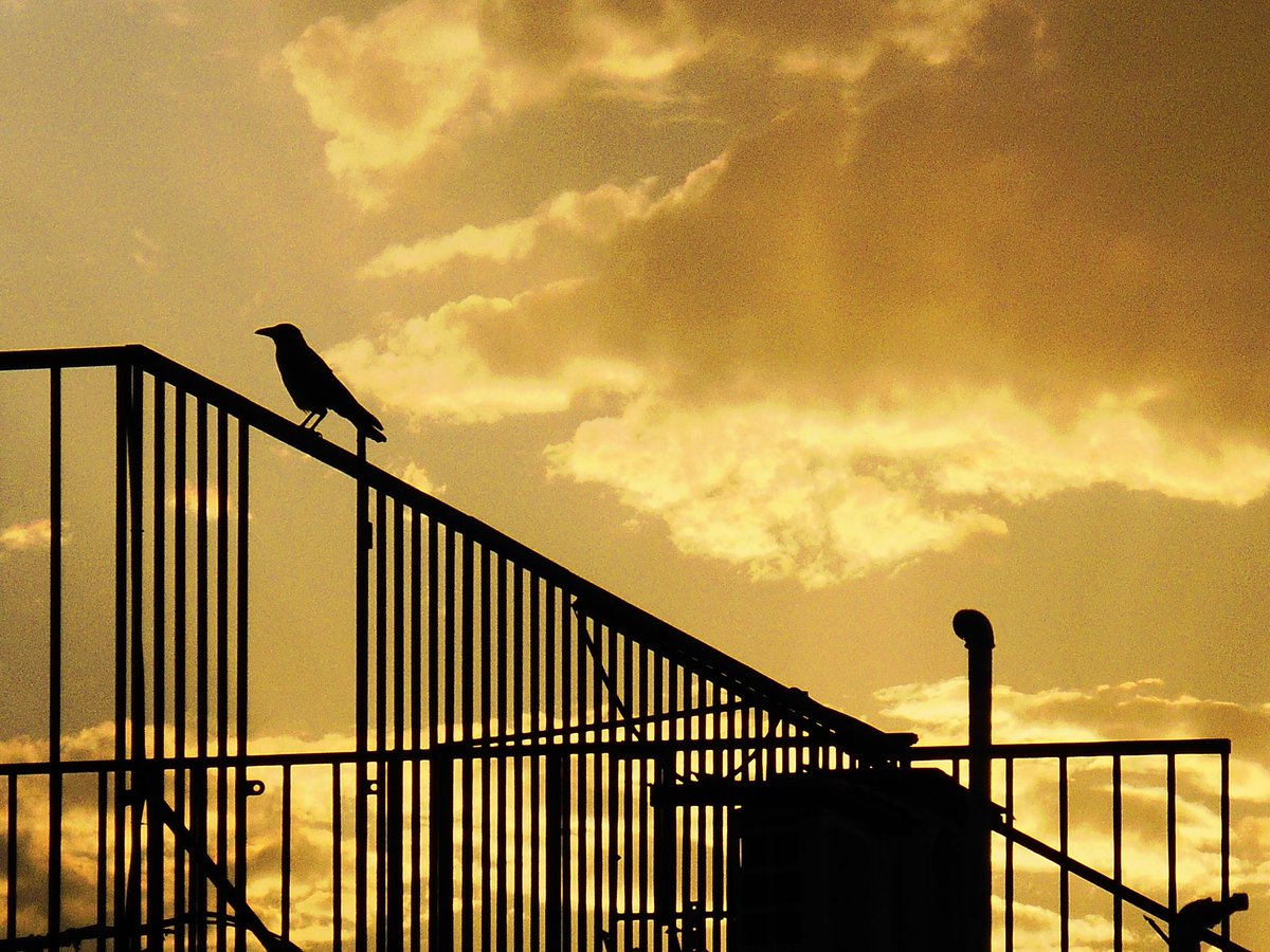 Iran is living through painful and uncertain days.

#streetphotography