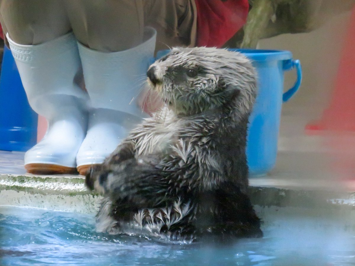 キラちゃんの豊かで優しい表情💞 1枚目の人差し指と肉球のタッチと表情