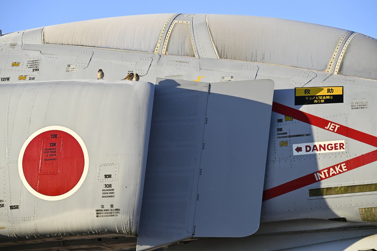 Yamaro (@Noct_Nikkor) / Posts / X