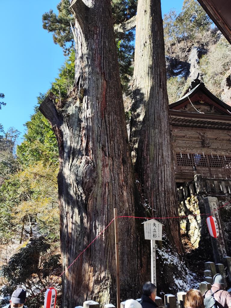 冬月先生 (@DnYdvaBsp6tcsC7) / Posts / X