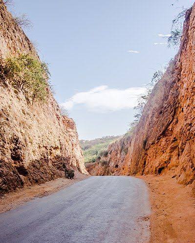 चिड़ी-कमेड़ी tweet media