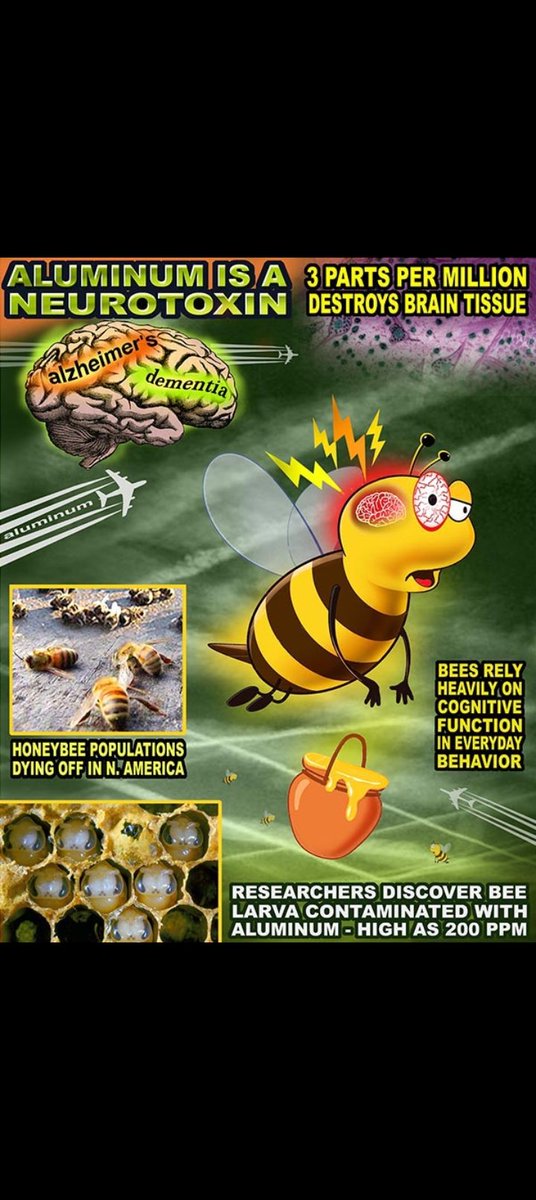 <a href="/NicHulscher/">Nicolas Hulscher, MPH</a> Aluminum is killing the bees 🐝, crucial to our existence 👇  x.com/Truth7771111/s…
