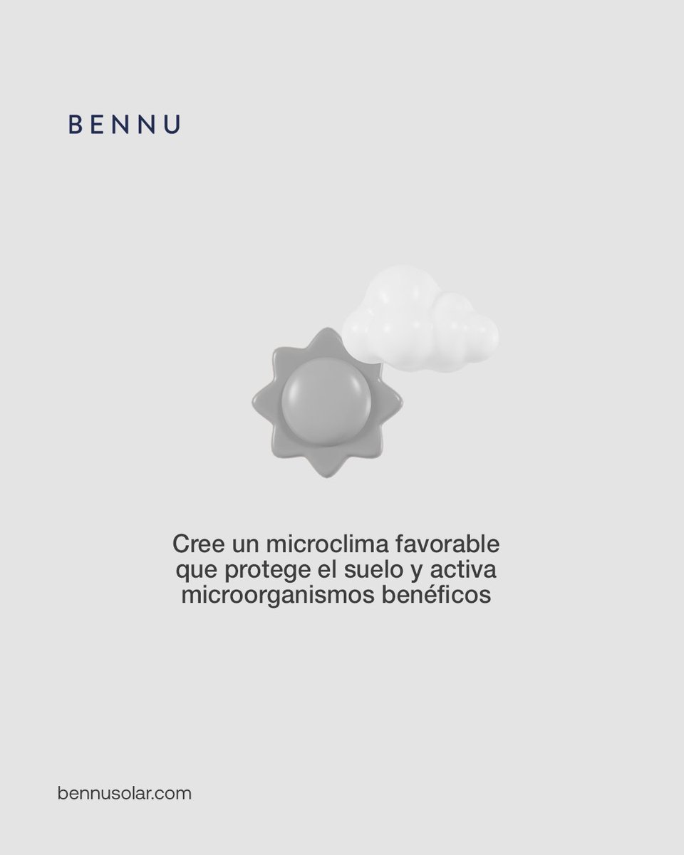 BennuSolar's tweet photo. Con los sistemas agrovoltaicos de Bennu Solar, su propiedad genera energía limpia mientras mejora la productividad agrícola.

La sombra controlada crea un microclima que conserva la humedad del suelo y favorece la actividad de microorganismos benéficos, fortaleciendo los cultivos https://t.co/lrWr33zyBz
