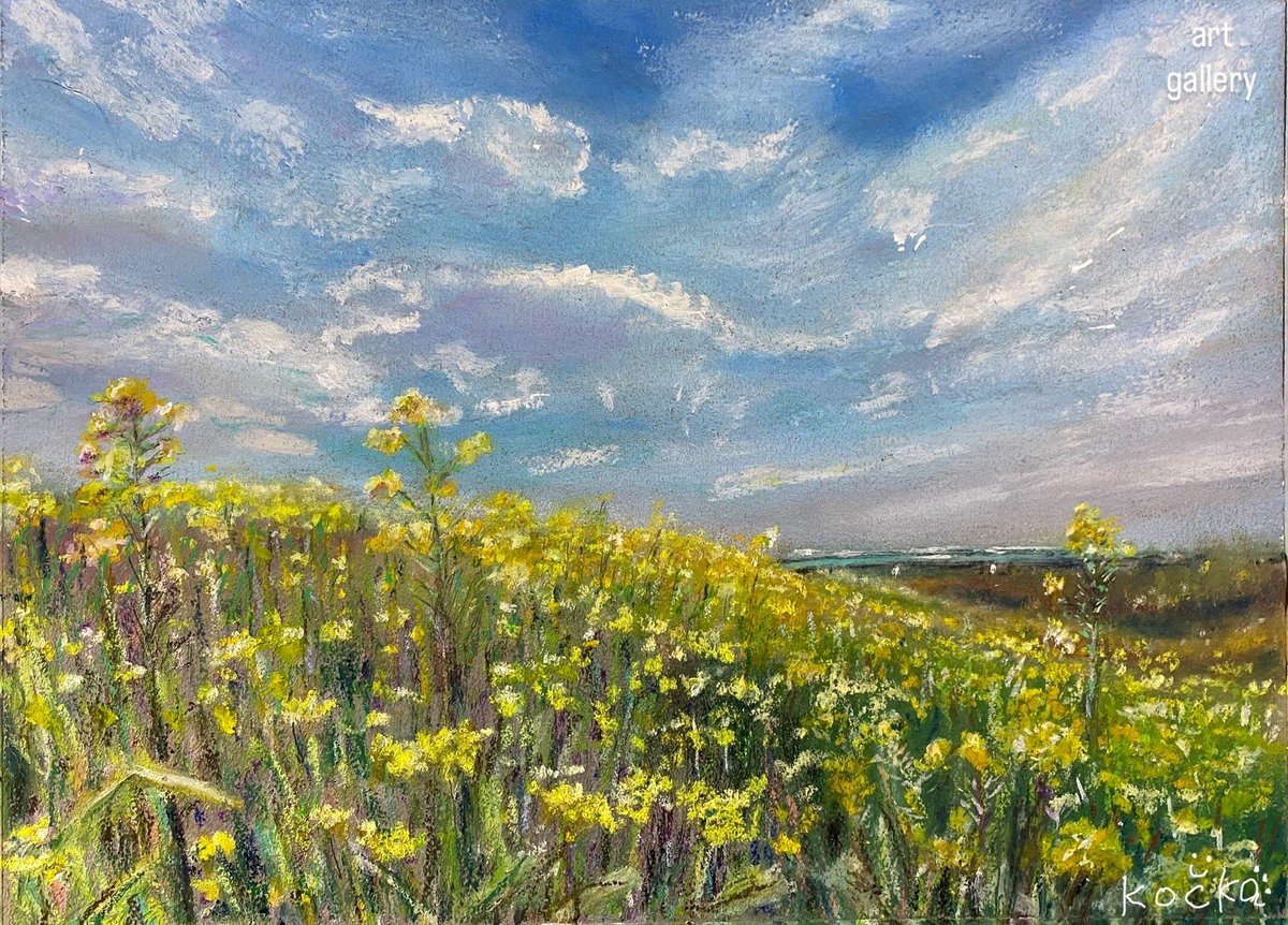 #MUNIARTGALLERY 

kočka(コチカ) ＠kocka_letssator さんの2L判ポストカード販売中🎨

作品「はるの初めの土手」

本当にこの土手に立って深呼吸してるみたいな気分。それは、コチカさんが実際に感じた空気や風の流れを描いているからなんだって。

muniartgallery.com から購入できます☺️