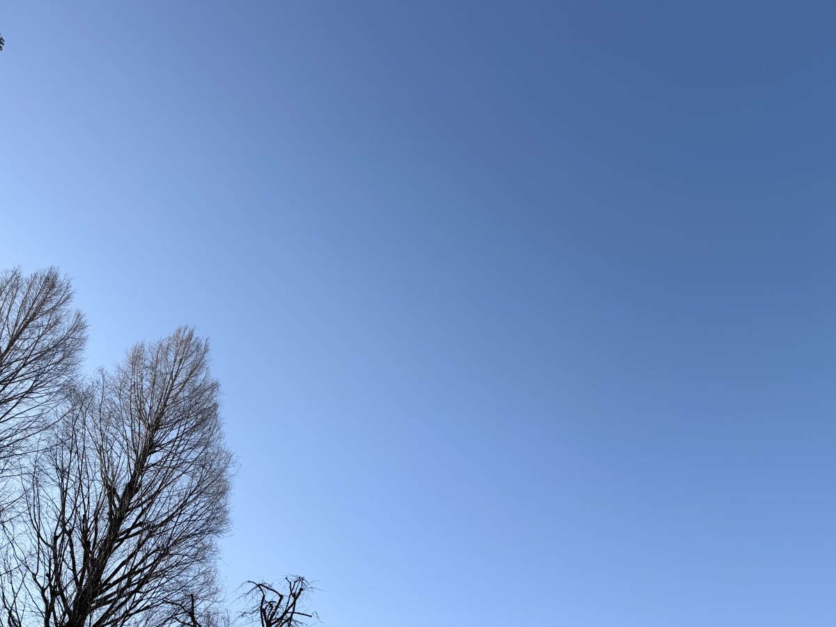 sato_thinking's tweet image. 相手の視点に立つことが、行動の質を高める。

自分の正しさを押し通すのではなく、相手がどう感じ、どう受け取るかを想像して動く。その一手間が、信頼と良い結果につながっていく。

おはようございます。
今日も良い一日をお過ごしください！