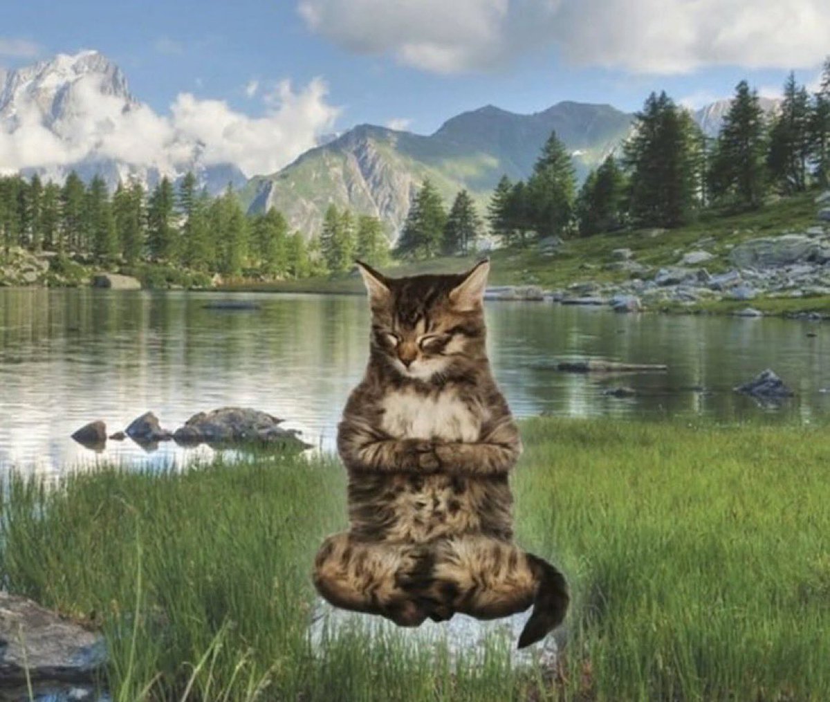 tomiezequiel15's tweet image. el cabello crece, el mensaje q enviaste llorando se olvida, los errores se superan, el corazon sana, y el tiempo pone todo en su lugar