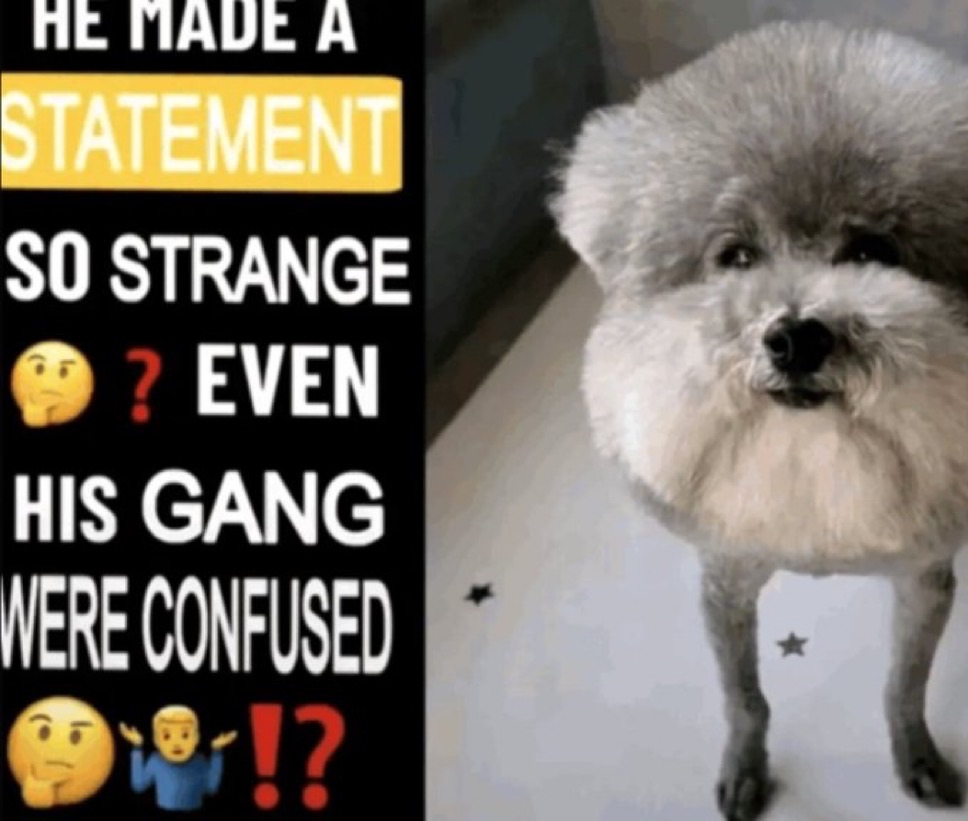 Vebastian Settel tweet media