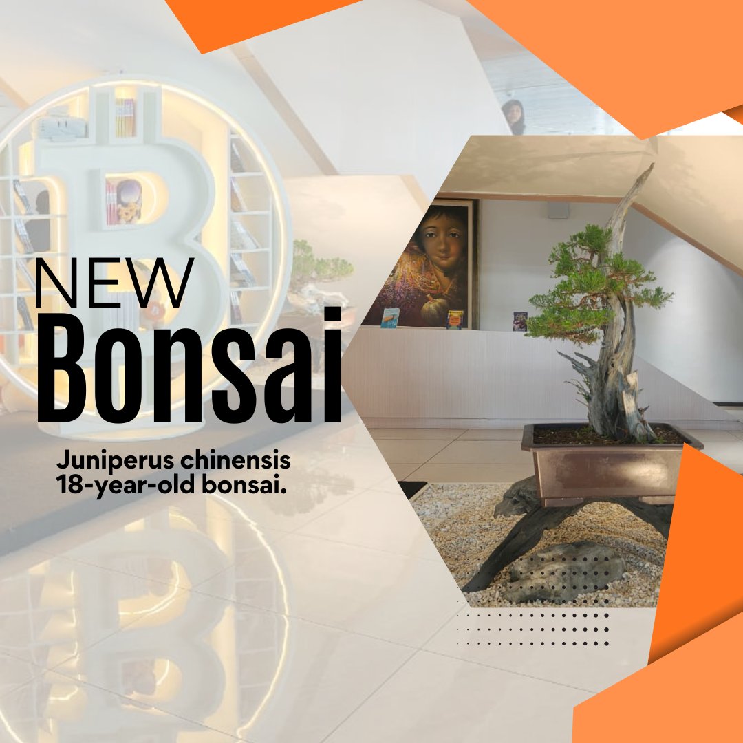 BitcoinZoneSV 🇸🇻 tweet media