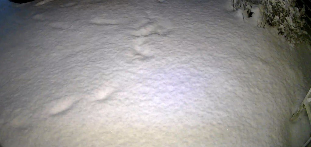 Braemar, Ballater and Deeside Weather Page tweet media