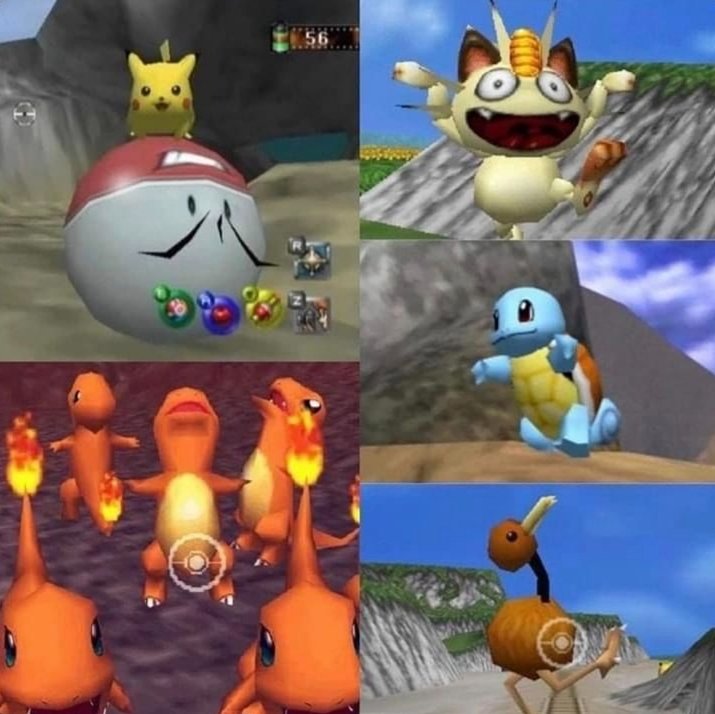 Do you have any photography experience?"

Me: