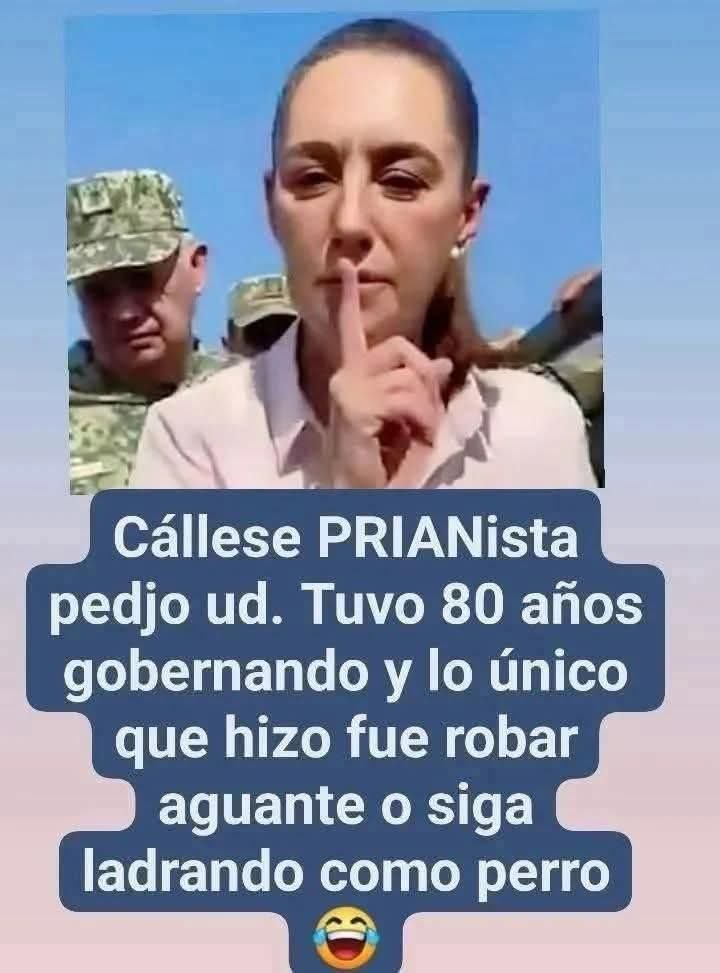 Alberto17449657's tweet photo. @cuaupeluche https://t.co/AUg2LakS4k