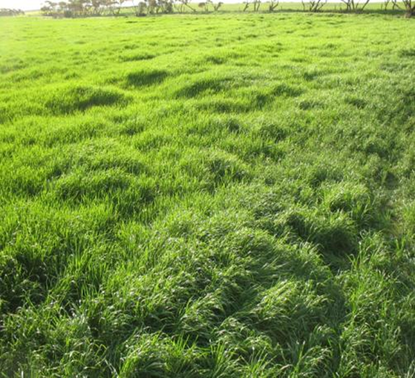 LifeInSoil tweet media