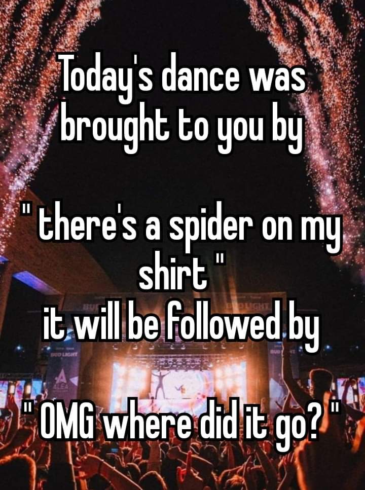 BunnieKat1962's tweet image. #Spiders 
#Funny