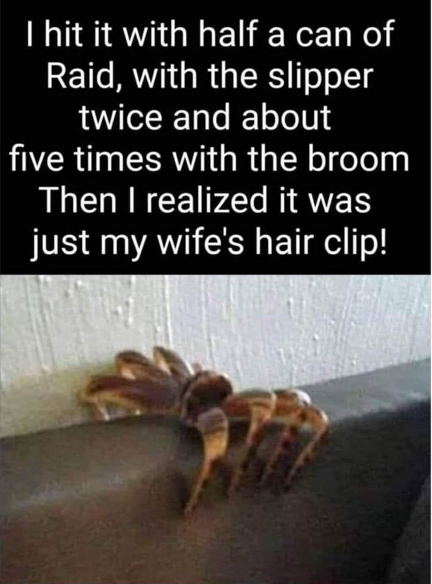 BunnieKat1962's tweet image. #Spiders 
#Funny