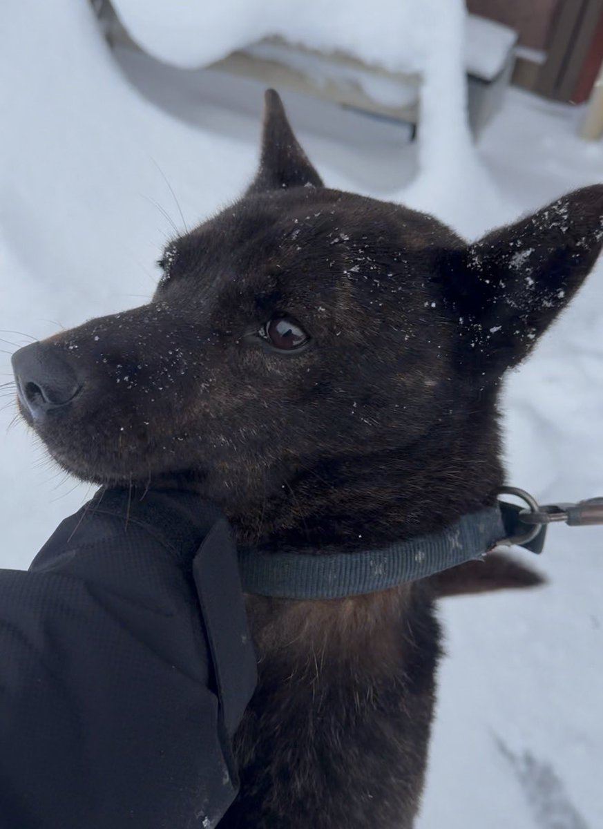 新年早々、
残業して働いて残業して働いて残業して働いて残業して働いて残業して働いてます。
3月までこんな感じ。頑張るぞ❗️