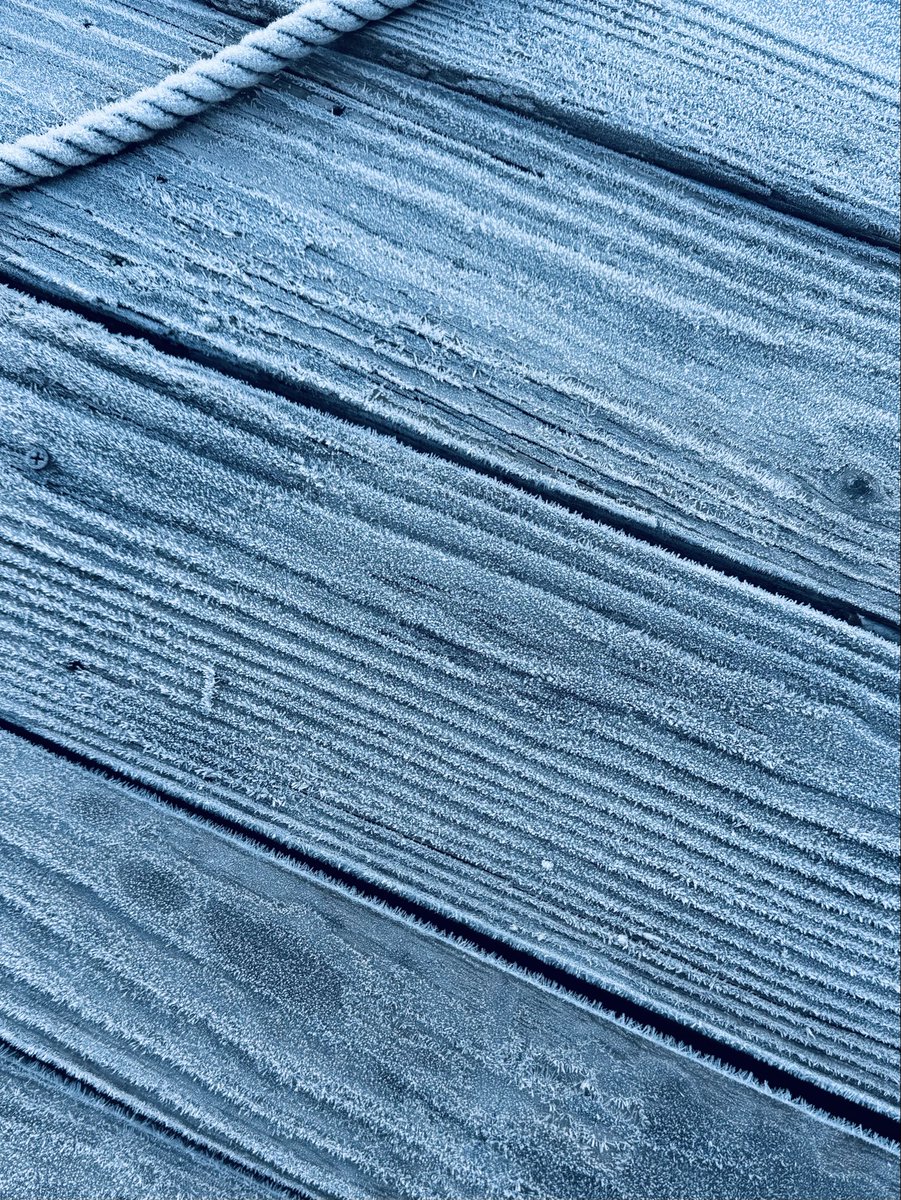 葉月/HAZUKI (@hazuki_lynch) / Posts / X