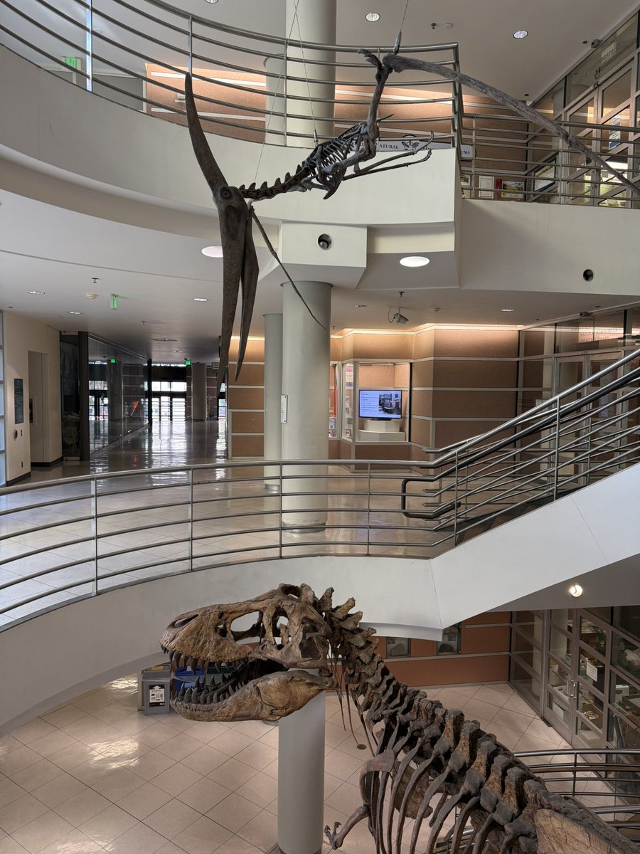 Does your school have these unique views on an Official Visit?!

<a href="/CalFootball/">Cal Football</a> x <a href="/UCBerkeley/">UC Berkeley</a> 

#GoBears #TransferPortal