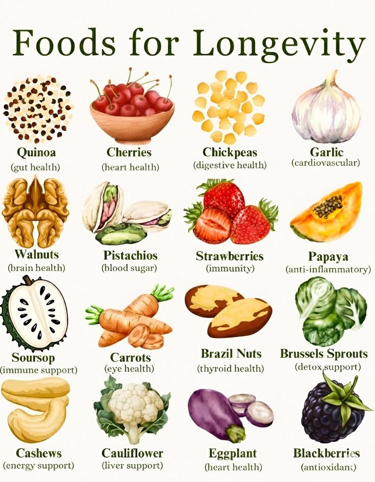 food_health_joy's tweet photo. Foods For Longevity 🍒 https://t.co/EVBRMq6f6D
