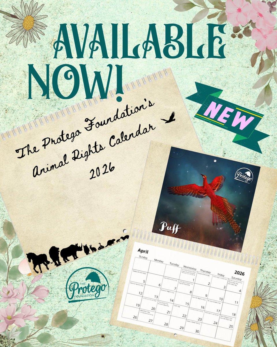 ✨📆 If you’ve ever wanted to keep track of all the animal rights holidays that happen throughout the year, now you can! 

Visit our store to order your copy! Please note that the calendars are expected to arrive in February.
the-protego-foundation.storenvy.com