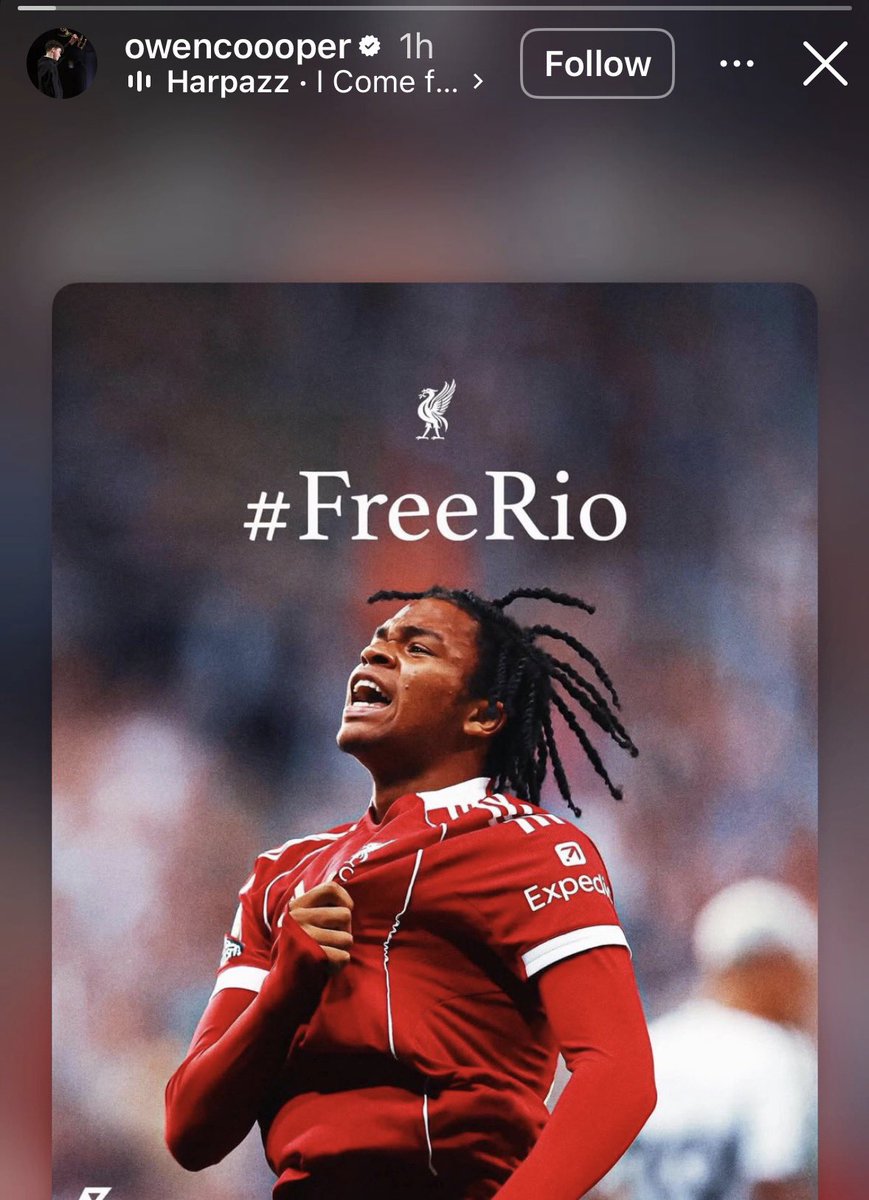 Killi 🧉 tweet media