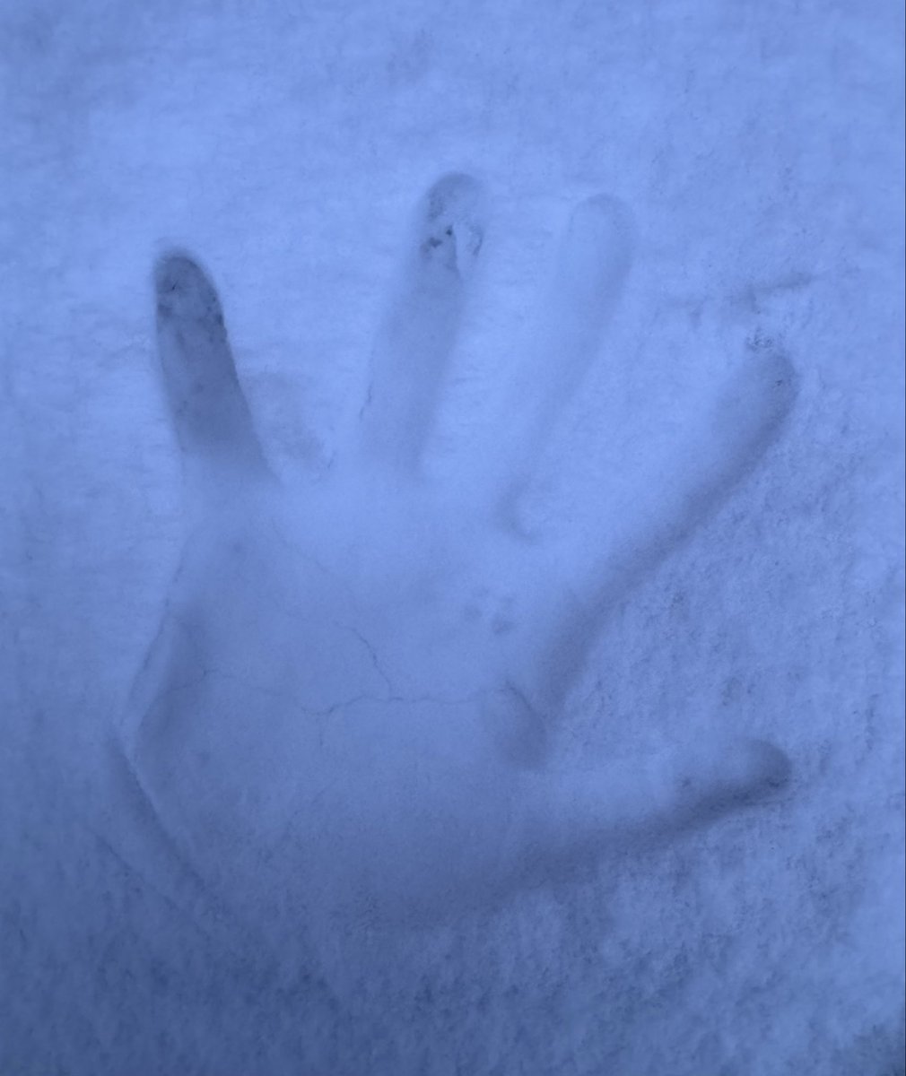 Mabesimo's tweet image. Goodnight en H5