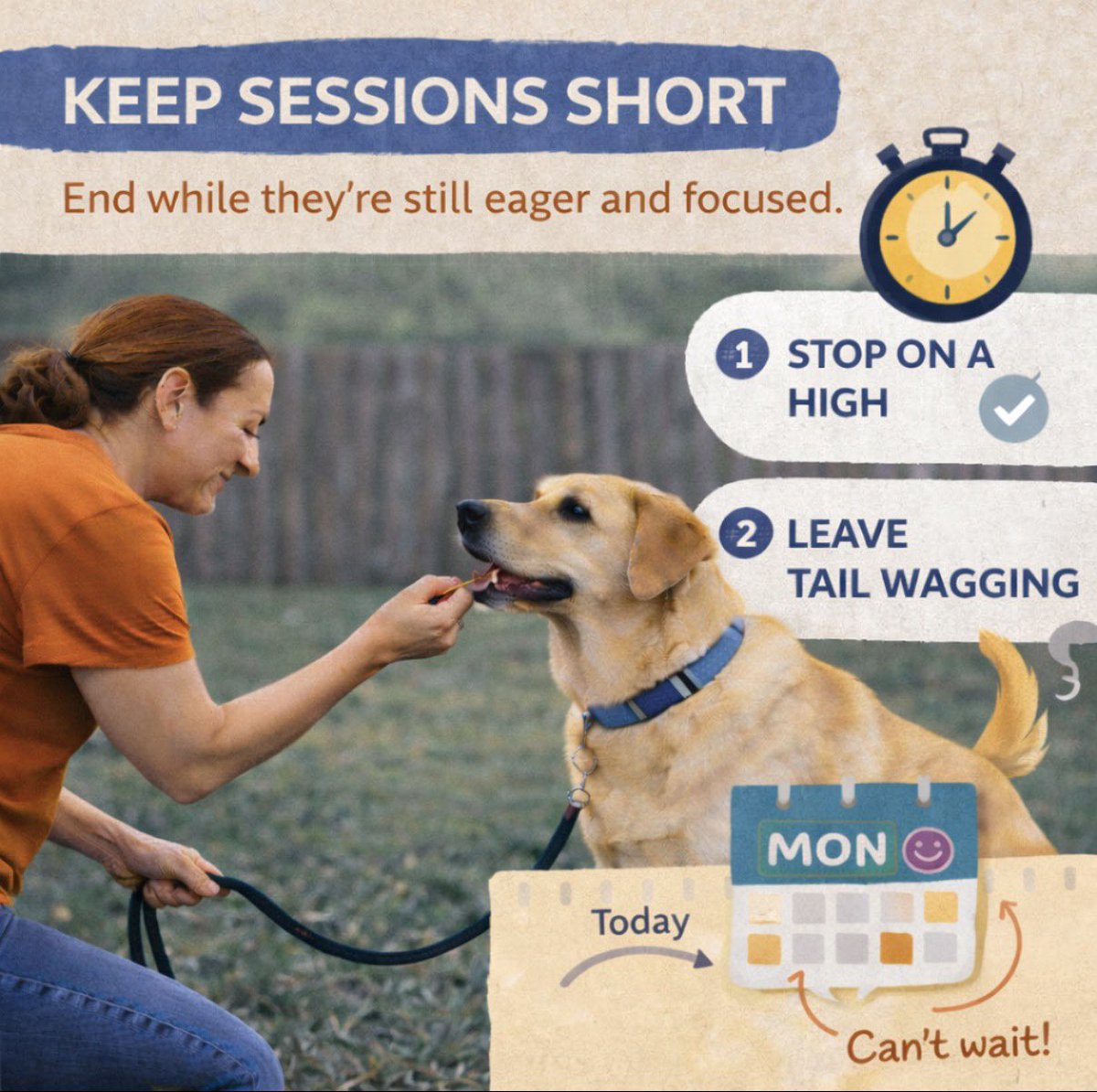 CrandonGoods's tweet image. Short sessions. Strong focus. End on a win and keep your dog eager to learn 🐕✨

#CrandonGoods #DogTrainingTips #PositiveDogTraining #ShortTrainingSessions #HappyDog #PetParents #DogBehavior #TrainSmart