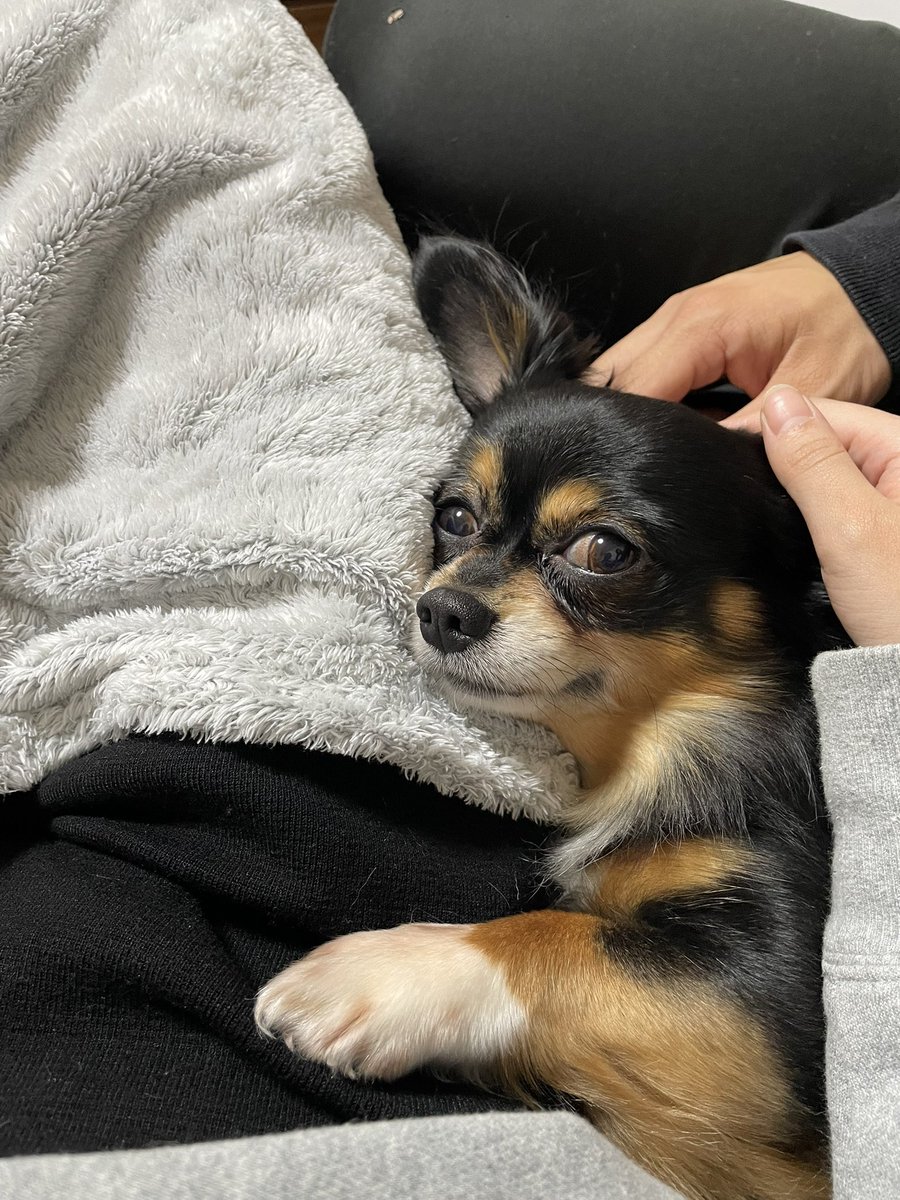 ___JPN89's tweet photo. 愛が詰まってるゥ⤴︎ 永久不滅卍
あみちゃん名古屋不在(>_<) https://t.co/d8x7ash06W