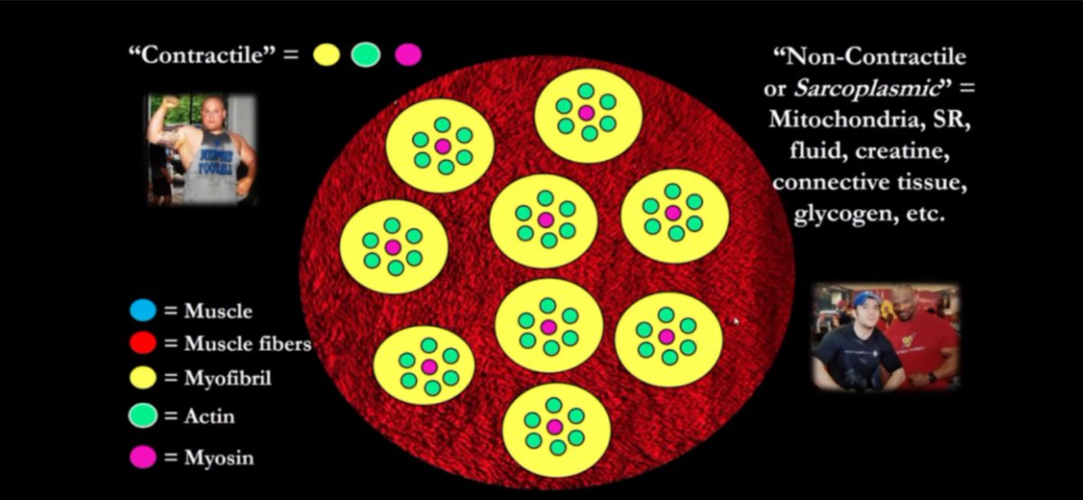 Travis Mash tweet media