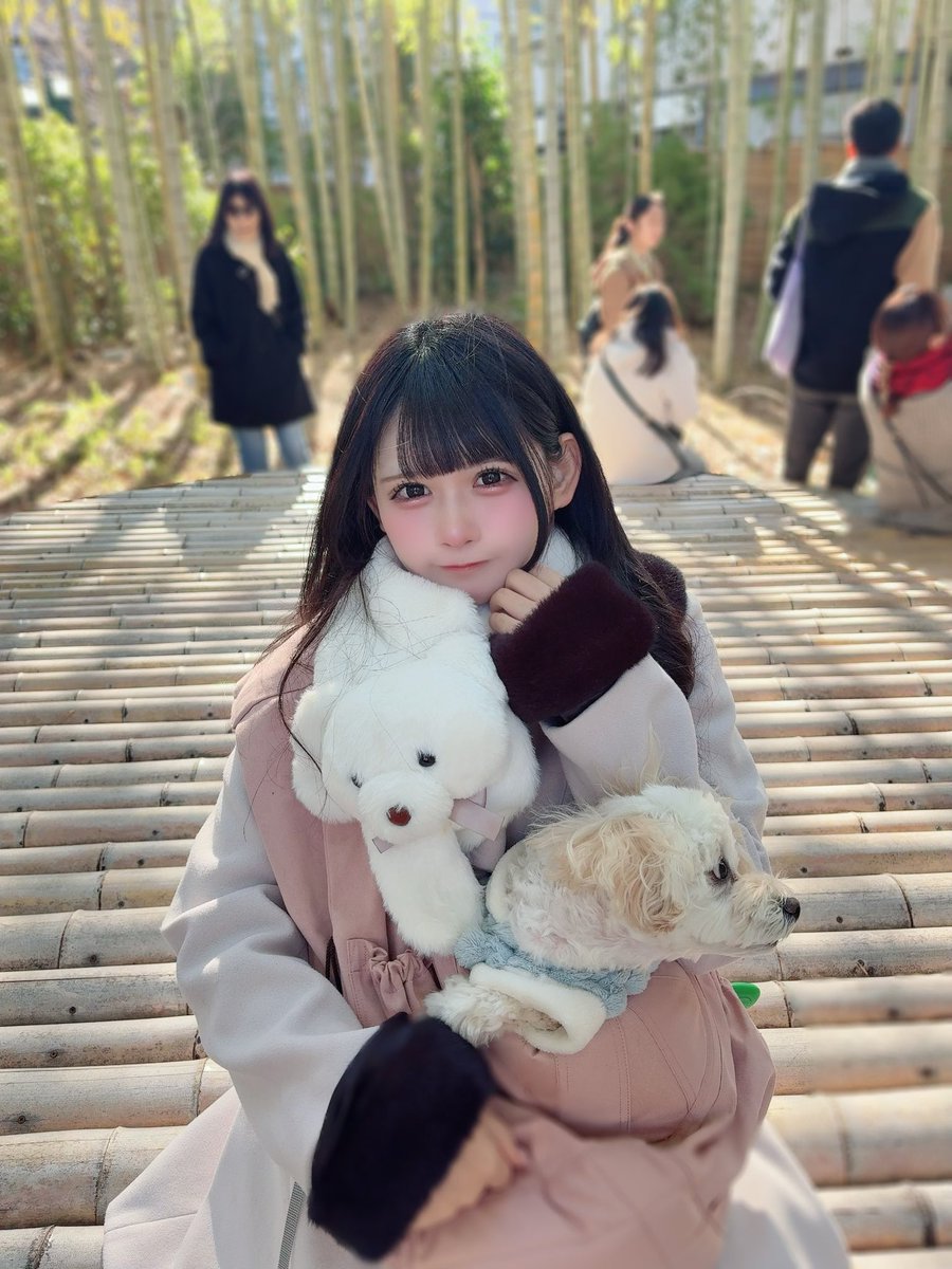 Post by 胡桃しお【1/18 新体制デビューライブ🐻‍❄️】 on X: おは