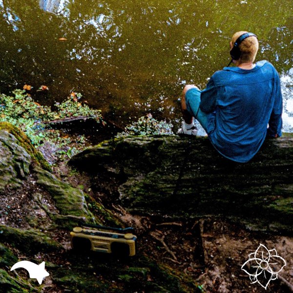 BEST ALBUM COVERS of the YEAR! tweet media