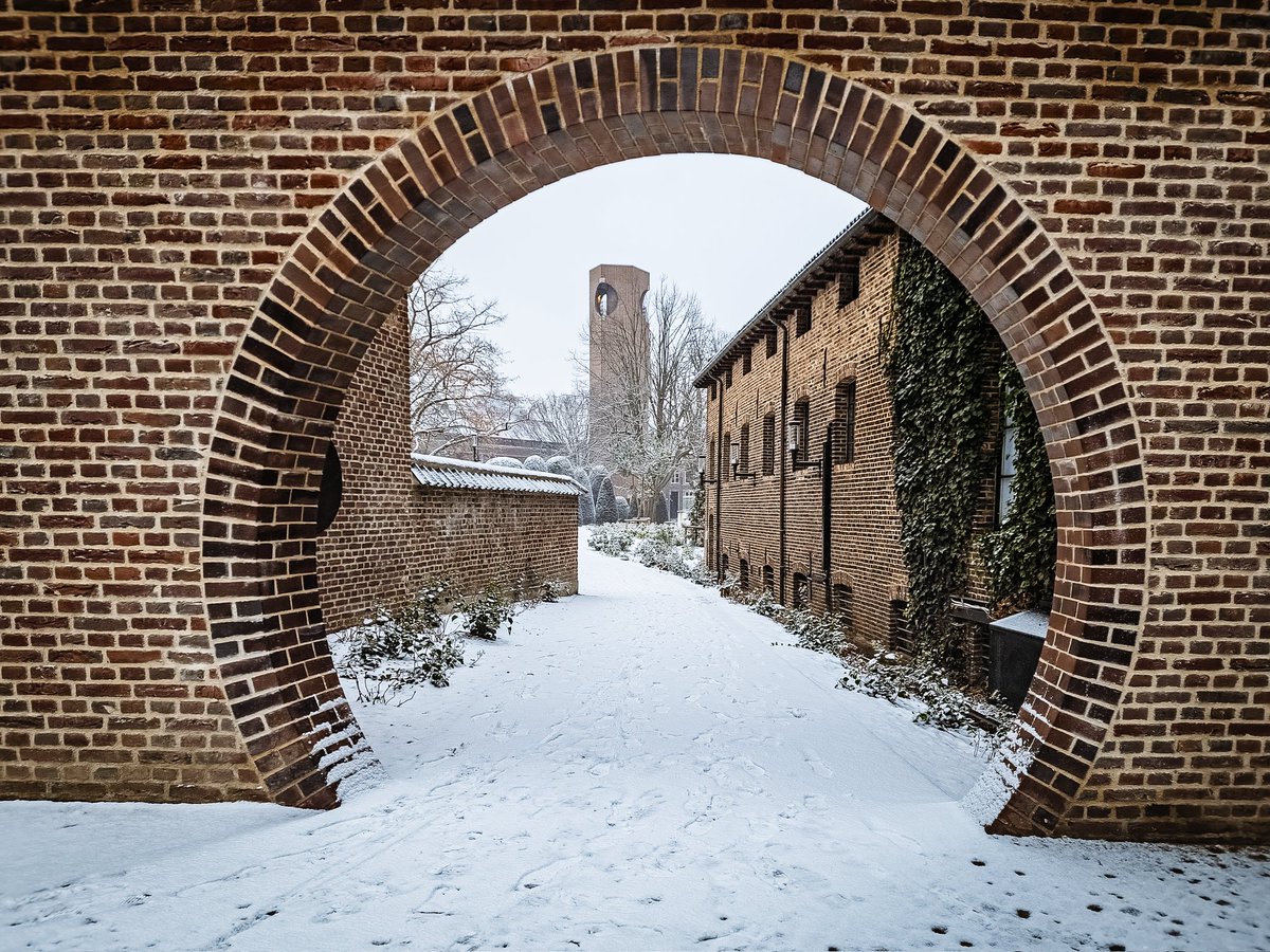 Peter Cauberghs tweet media