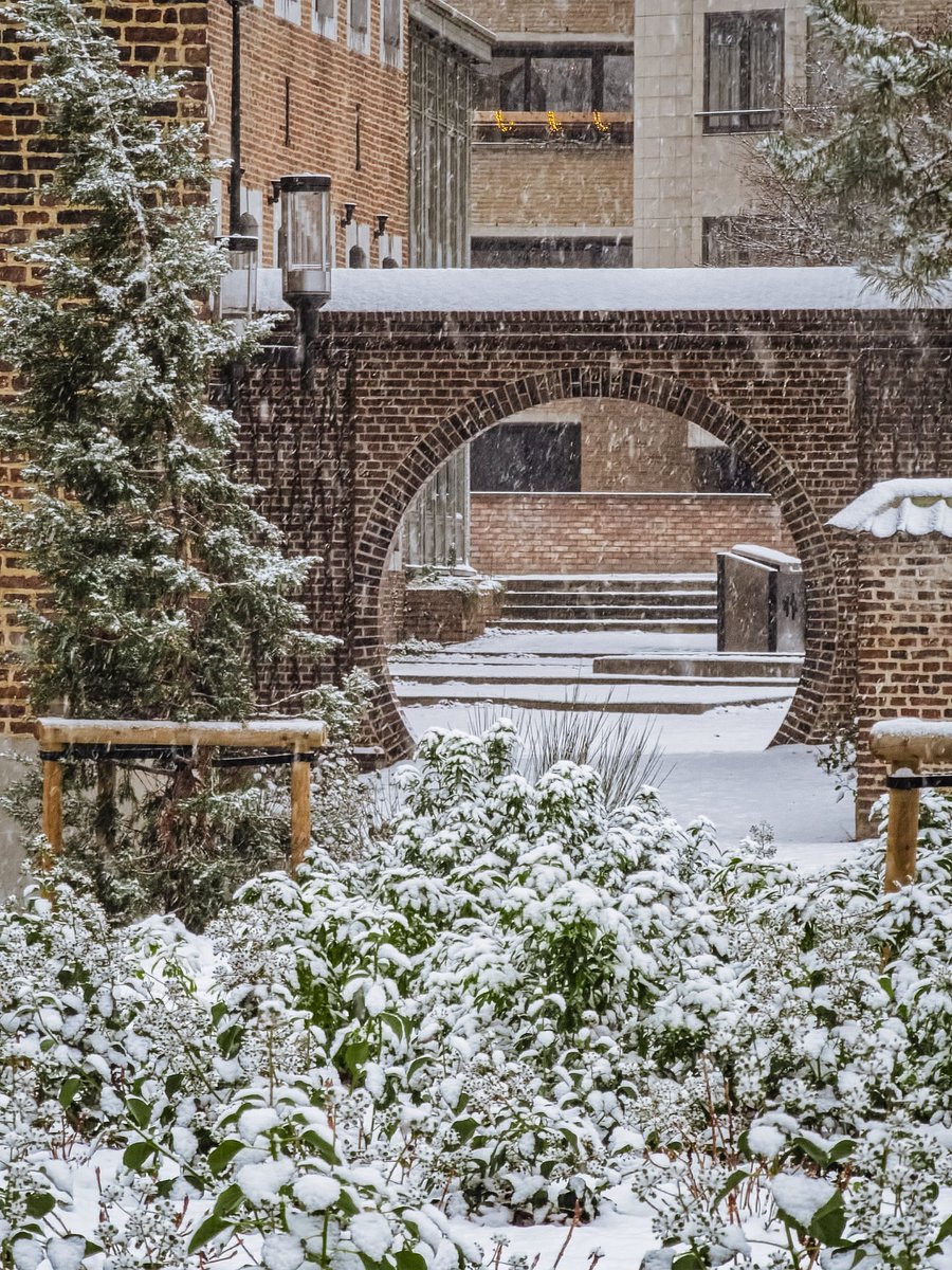 Peter Cauberghs tweet media