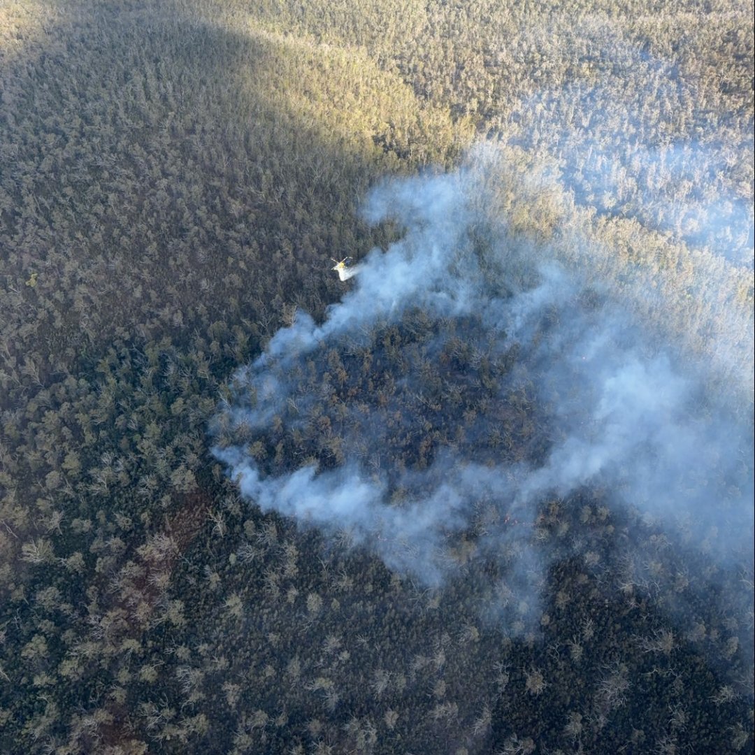 NSW RFS tweet media