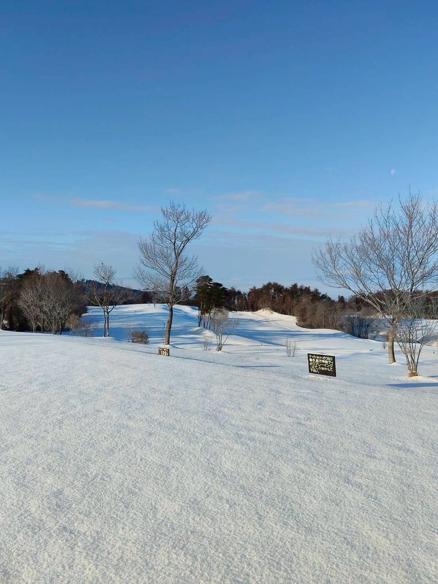 Doroncodarake's tweet image. 初打ちはいつになるかな🤔

クローズ中